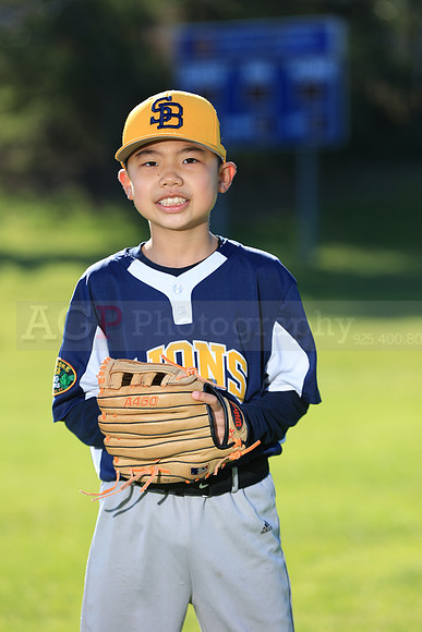 PWLions00128