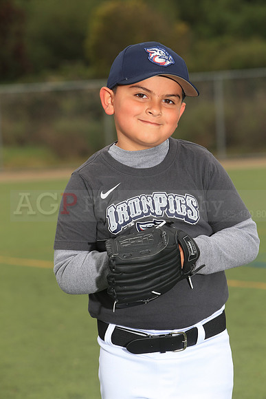 TBIronPigs00054