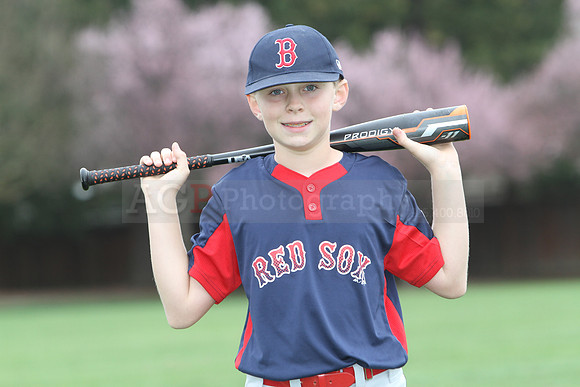 AAARedsox071