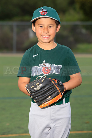 TBTinCaps00024