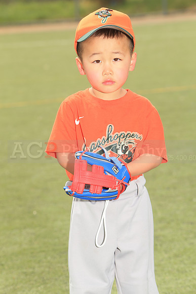TBGrasshoppers00010