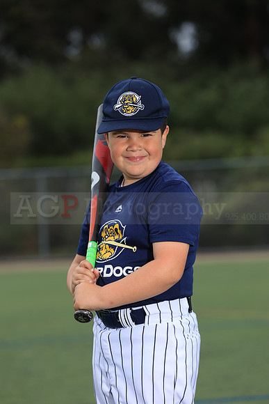 TBRiverdogs00075