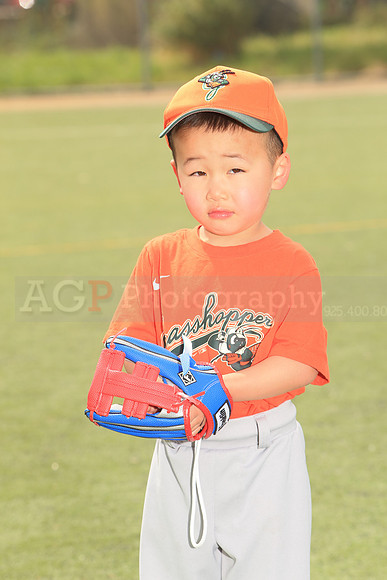 TBGrasshoppers00013