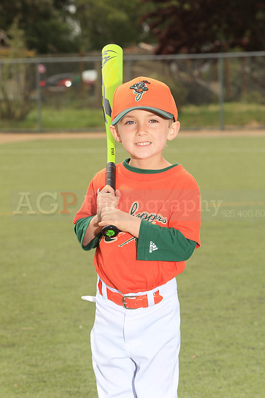 TBGrasshoppers00031