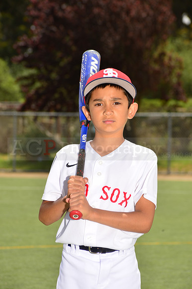PWRedSox00005