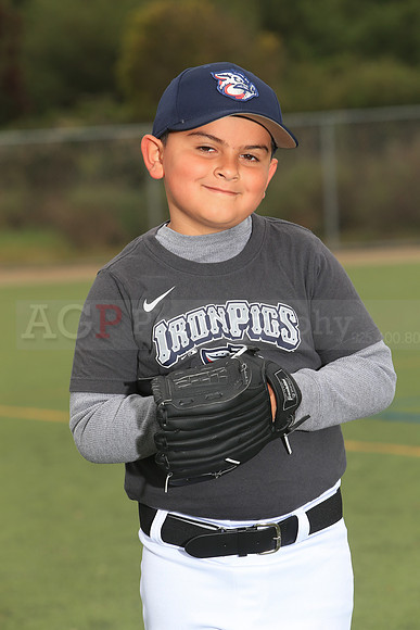 TBIronPigs00053