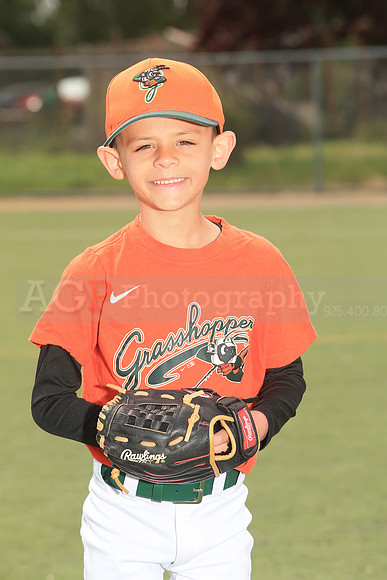 TBGrasshoppers00003