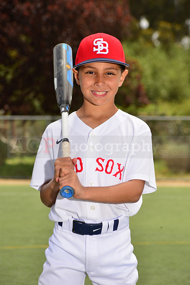 PWRedSox00080