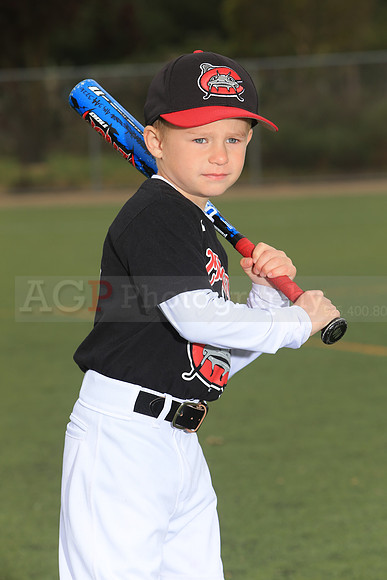 TBMudcats00018
