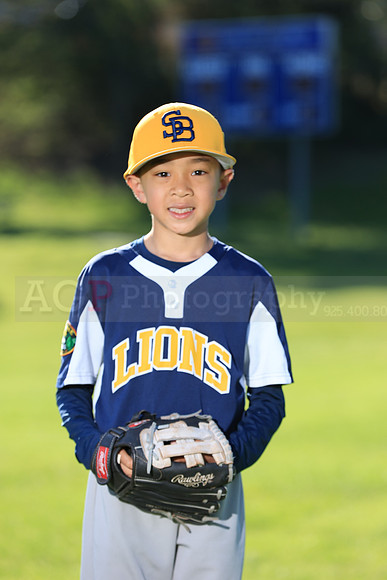 PWLions00139