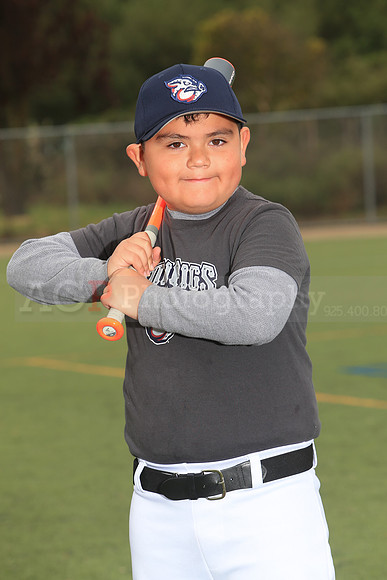 TBIronPigs00055