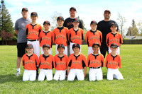 AAA GIANTS