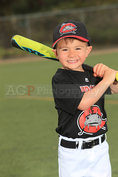 TBMudcats00003