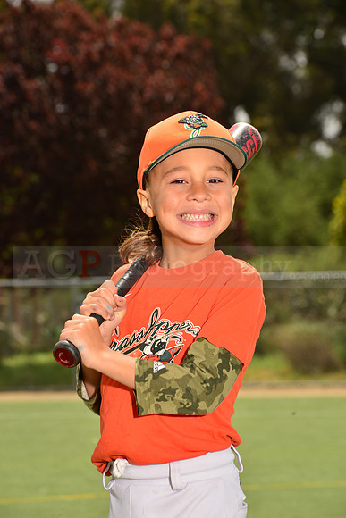 TBGrasshoppers00068