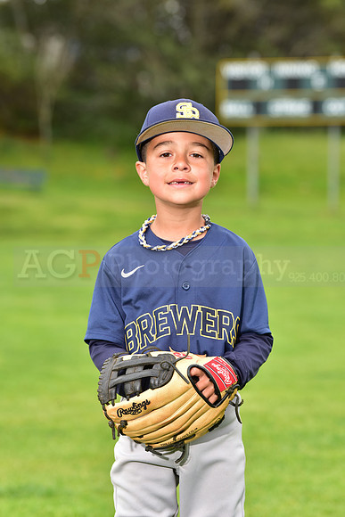 Jr_PWee_Brewers00022