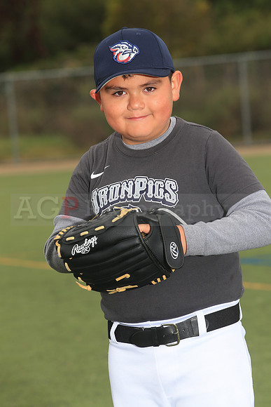 TBIronPigs00060