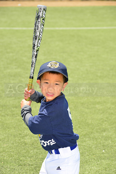 SB_TB_Riverdogs00033