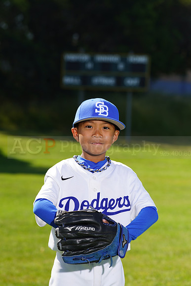PWDodgers00026