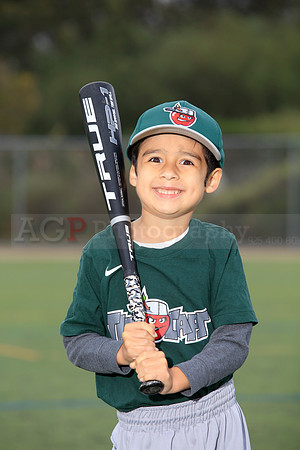 TBTinCaps00016