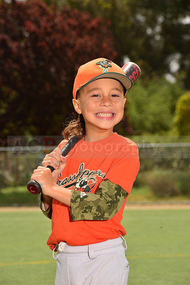 TBGrasshoppers00069