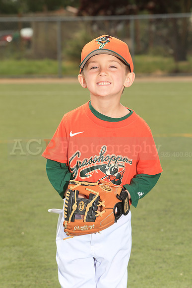 TBGrasshoppers00028