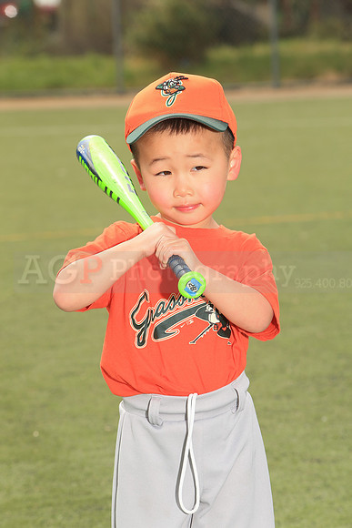 TBGrasshoppers00015