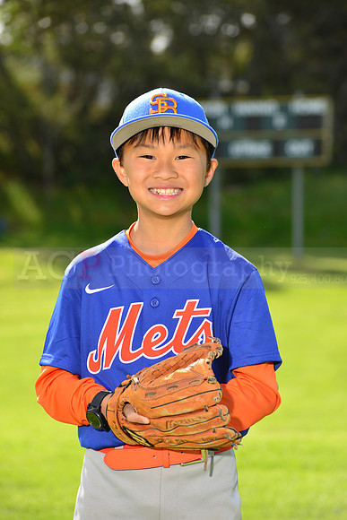 BrMets00058