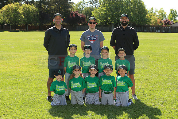 PLL_TB_Emeralds00095