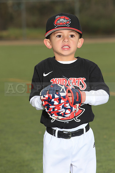 TBMudcats00026