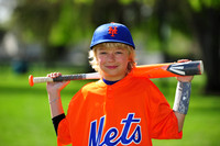 AA METS017