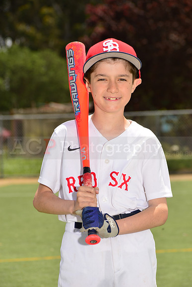 PWRedSox00042