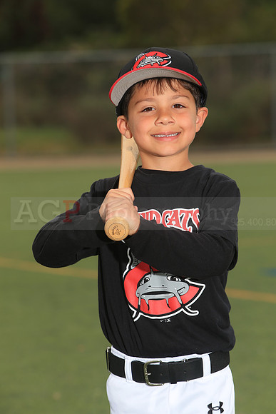 TBMudcats00035