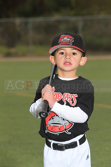 TBMudcats00029