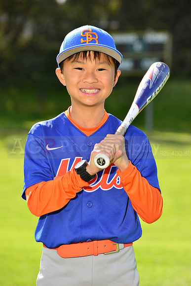 BrMets00062