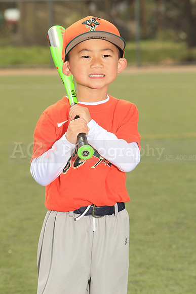 TBGrasshoppers00021