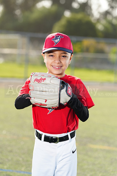 SB_TB_Bats059
