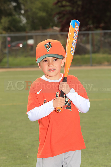 TBGrasshoppers00049