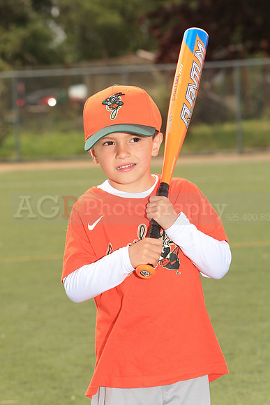 TBGrasshoppers00048