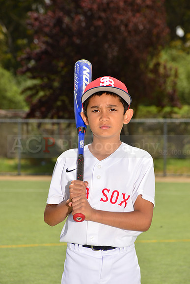 PWRedSox00006