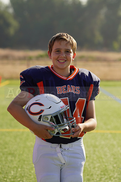 Bears00111