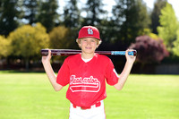 MCardinals0013