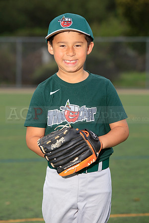 TBTinCaps00022