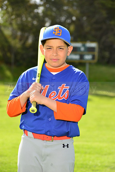 BrMets00016