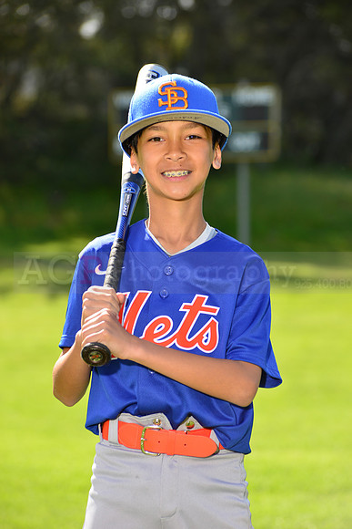 BrMets00066