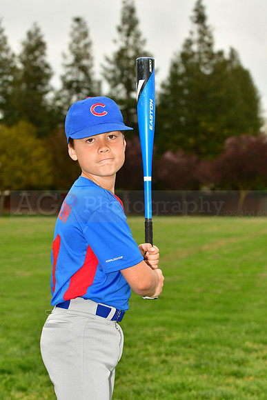 AAACubs008