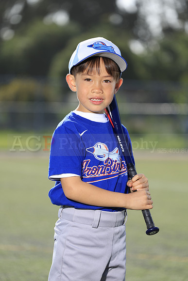 SB_TB_IronBirds029