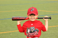 SB_TB_Ironpigs00020