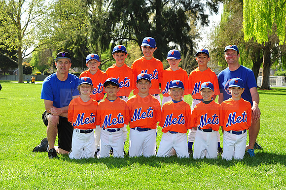 AA METS068