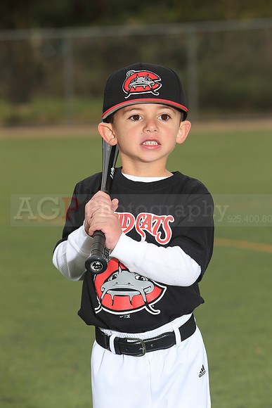 TBMudcats00027