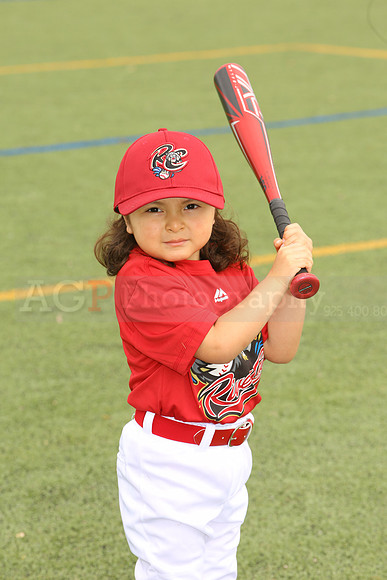 SB_TB_Ironpigs00042